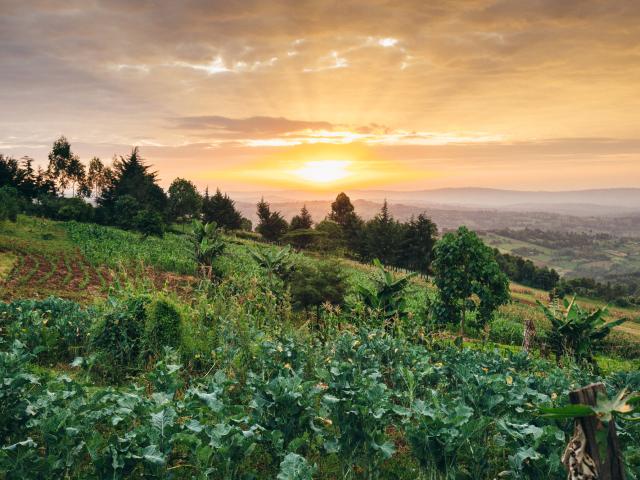 View over farmland, Mara River Upper Catchment, Kenya. Sustainable farming methods supported by supported by the HSBC Water Programme