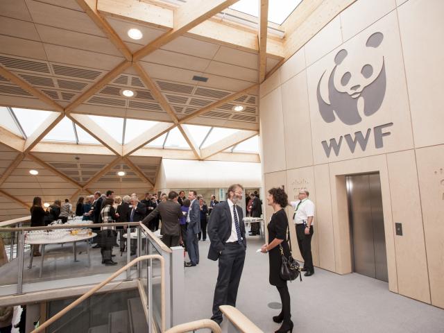 Drinks on the Mezzanine