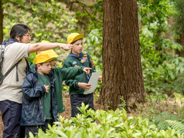 Cubs exploring nature 