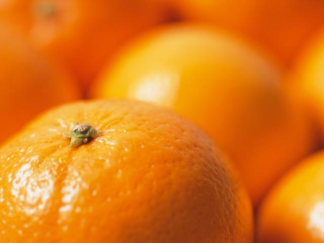 Pesticides and other products used in fruits' production are containing toxic chemical that can contaminate humans in the home