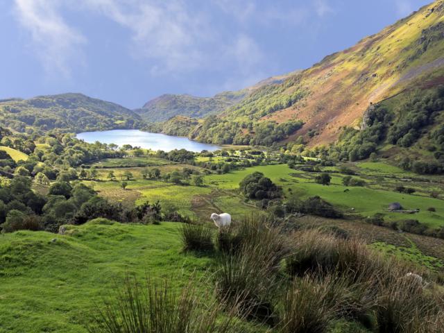 Llyn Gwynant, Snowdonia National Park, Wales