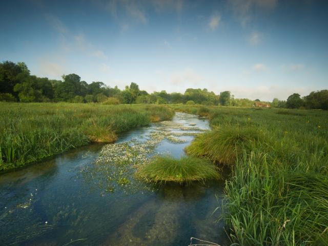 The River Itchen, Hampshire, UK