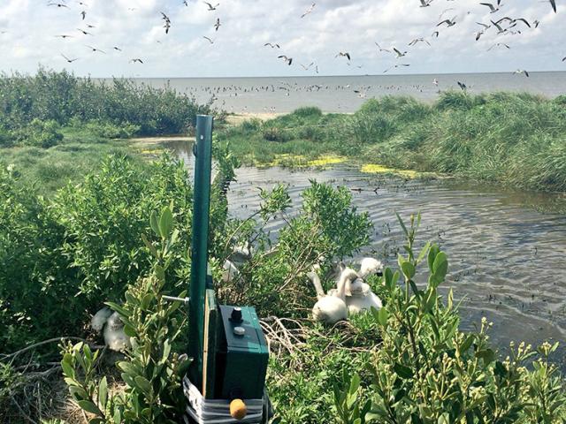 Camera trap by a river