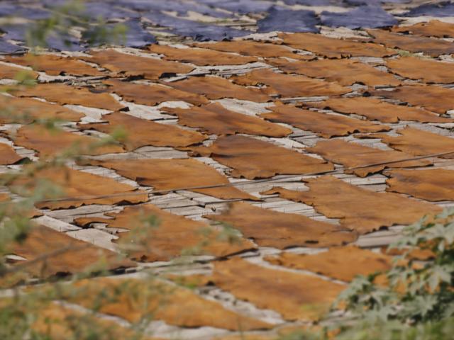 Leather drying in India © James Lovick / Tinderflint 