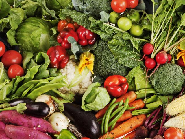 Collection of freshly picked vegetables, South Africa.