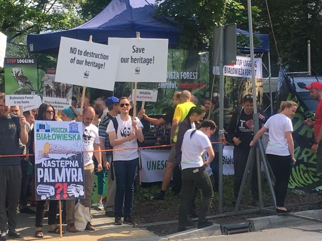 WWF supporters protest about logging in Bialowieza Forest