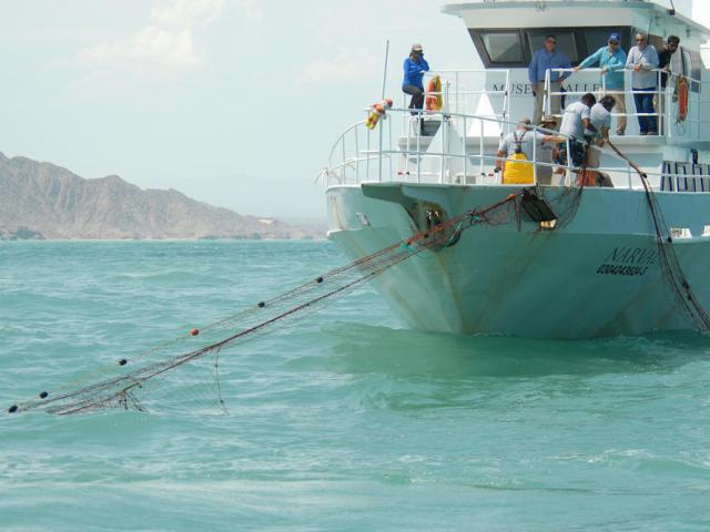 Local fisherman retrieving abandoned or lost “ghost” nets in the Upper Gulf of California - © WWF-US / Gustavo Ybarra