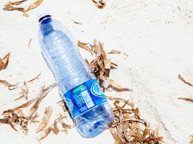 Plastic bottle washed up on the beach