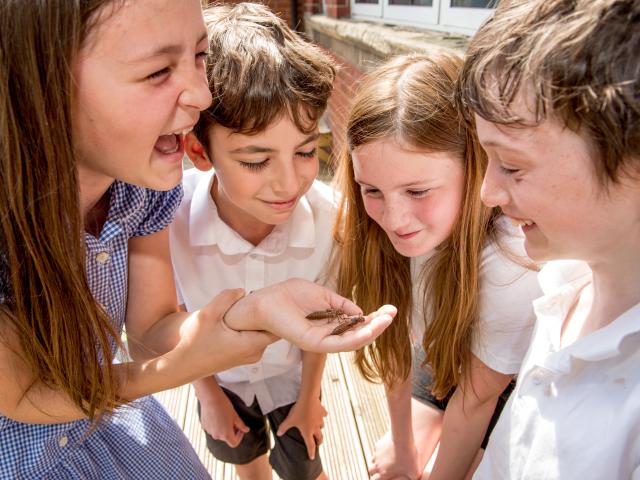 Victoria Park Primary School © Richard Stonehouse / WWF-UK