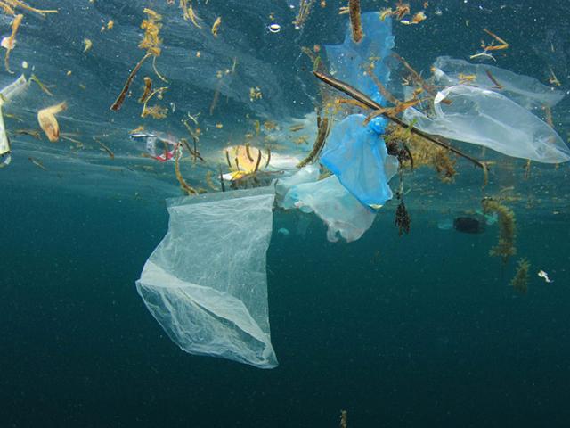 Floating plastic pollution in the oceans