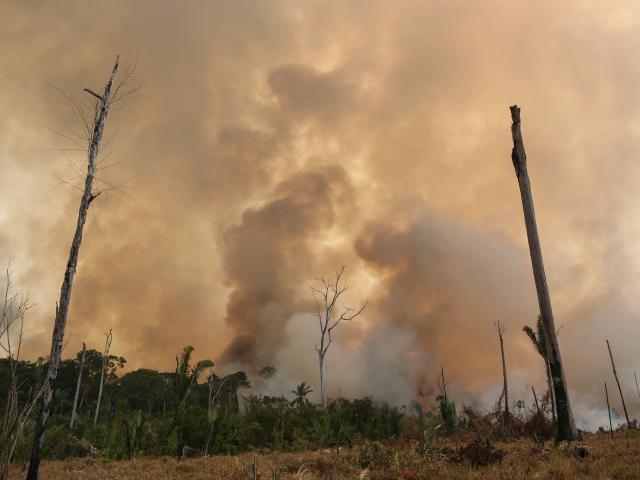 Amazon fires destruction