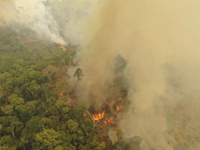 Amazon fires