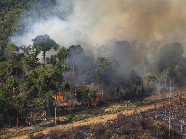 Fires in Brazil - region of Pará and northern Mato Grosso 
