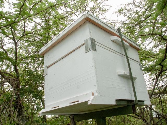 Modern Hive