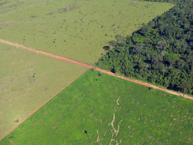 Aerial view of farming in the Alta Floresta municipality, Amazon, Brazil. 