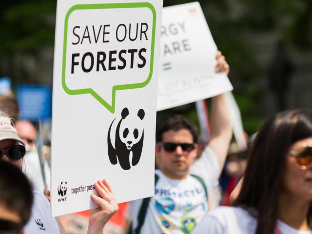 Participants of the Peoples Climate March in Washington, DC.