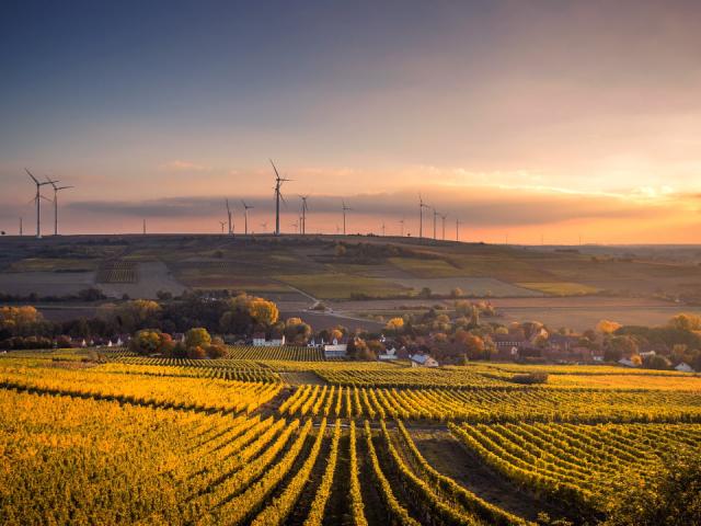 An agricultural landscape with wind turbines on the horizon at Mölsheim, Germany