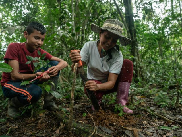 Marisela and her son plant a new tree in a forested area of the family farm (30% of which is retained as forest)