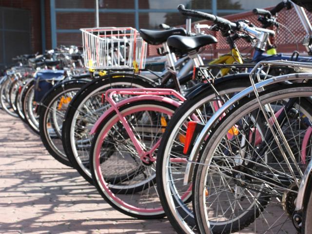 A row of bicycles