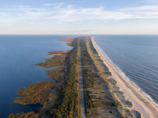 A stretch of land with trees