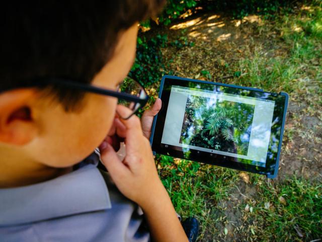 Our Planet citizen science pilot using the iNaturalist platform with students of St Andrews School, Horsell. Surrey, UK.