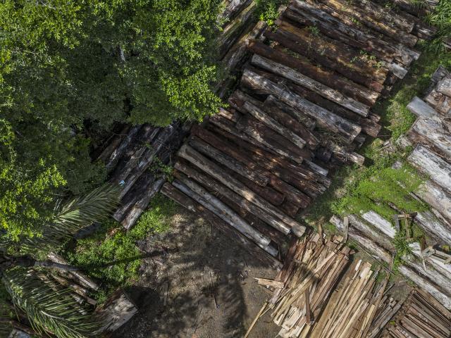 Timber seized over five years ago stored at the Environmental Police Battalion, Porto Velho, Rondônia.