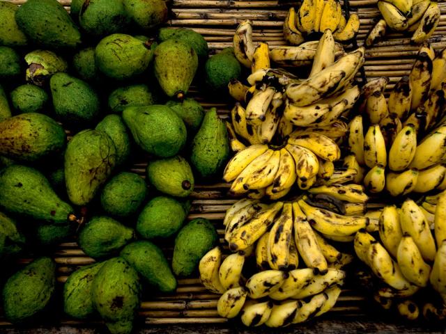 Bananas and avocados, which are grown near the Virunga National Park