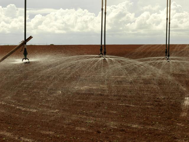 Remote controlled giant water sprinklers spray soy crops