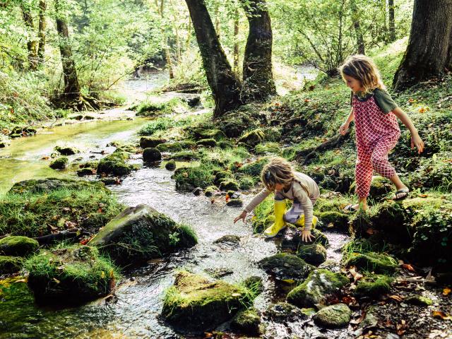 Children play in a stream