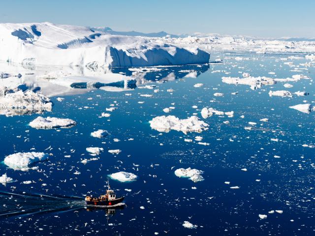 Fishing vessel attracts seabirds against a background of icebergs