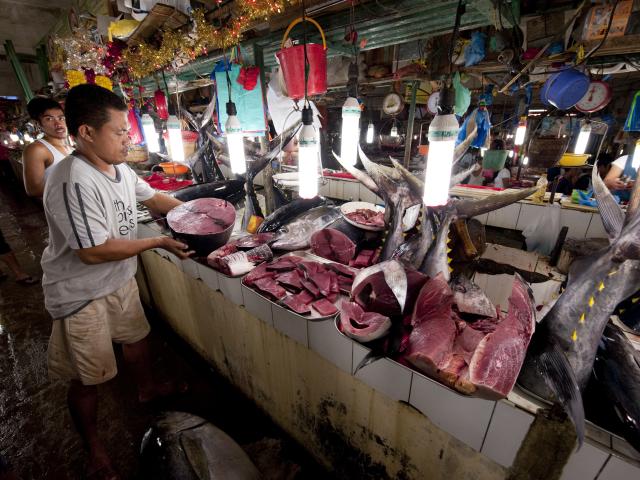 Palawan fish market selling tuna. Puerto Princesa, Palawan, Philippines. 9 April 2009