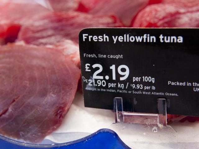 Line caught yellowfin tuna fish (Thunnus albacares) for sale at a supermarket in the UK.