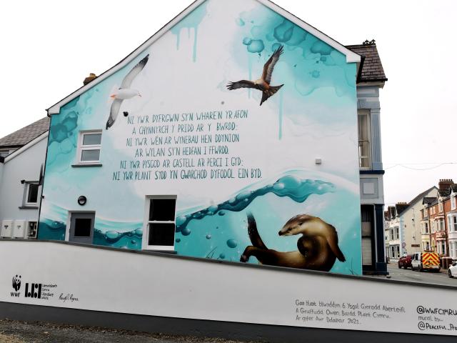 Cardigan mural 