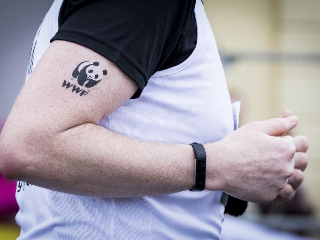 A close up on a runner's arm with a WWF tattoo on his bicep