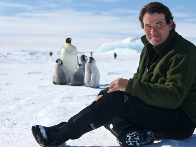 Alastair Fothergill with penguins.
