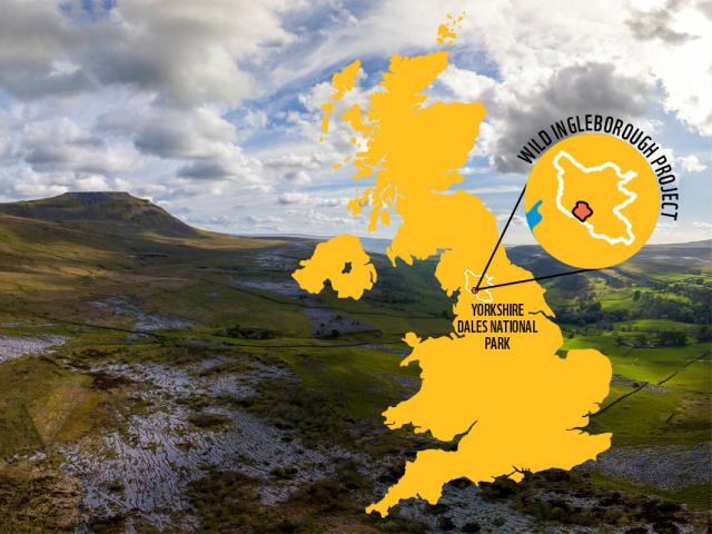 Wild Ingleborough Map