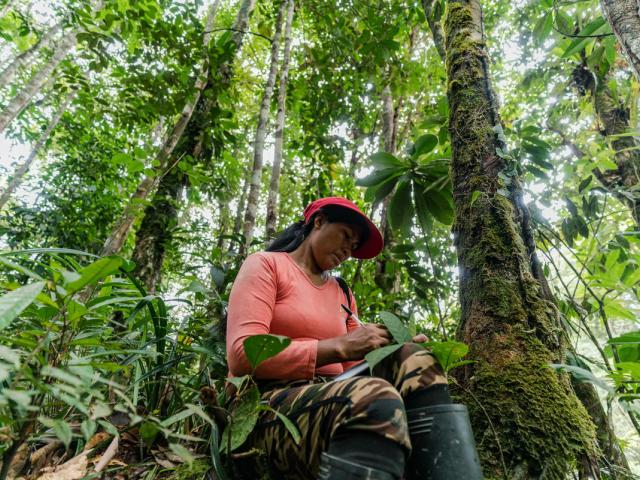 Chela Elena Umir, from the La Chorrera indigenous community and member of the Ecosystem Services Assessment  (ESA) Technical Team, makes notes, as the team conducts an ecosystem service assessment of the forest surrounding La Chorrera, Predio Putumayo Indigenous Reserve, Department of Amazonas, Colombia.