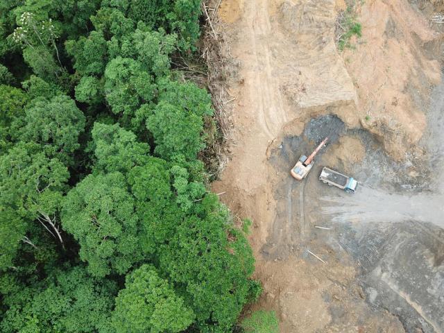 Deforestation aerial photo. Rainforest jungle in Borneo, Malaysia, destroyed to make way for oil palm plantations. 