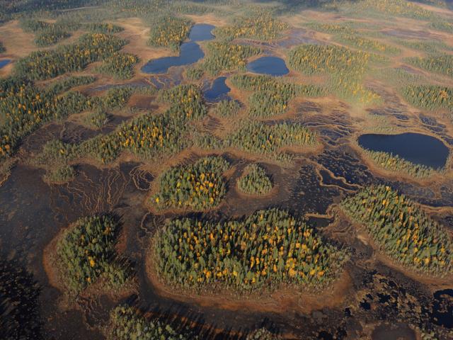 Aerial view of Peat bog, Oulanka National Park, Finland,
