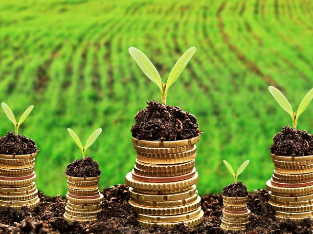 Currency and money in soil