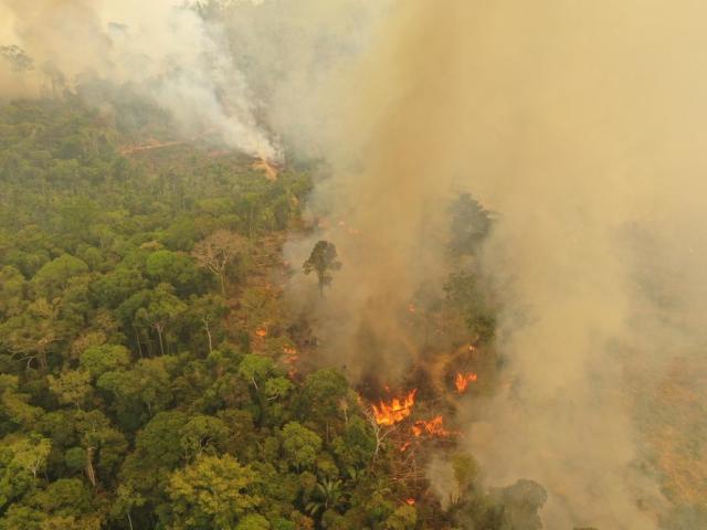 Amazon fires in Brazil