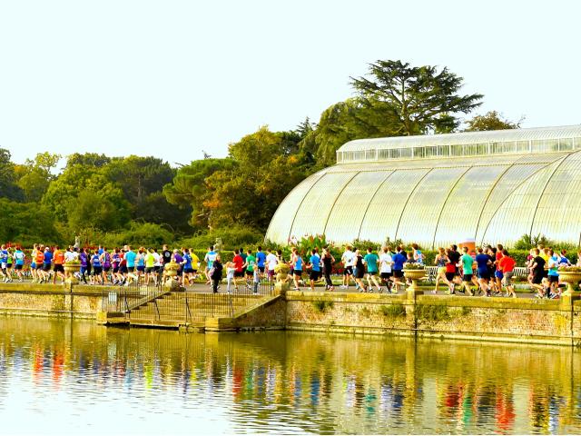 Runners passing the Palm building at Kew Gardens