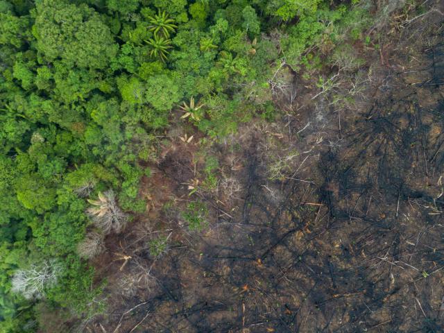 Aerial view of deforestation of the Amazon rainforest