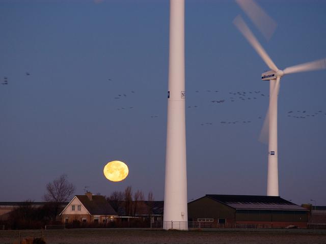 Windturbines and flock of geese during a full moon night. 