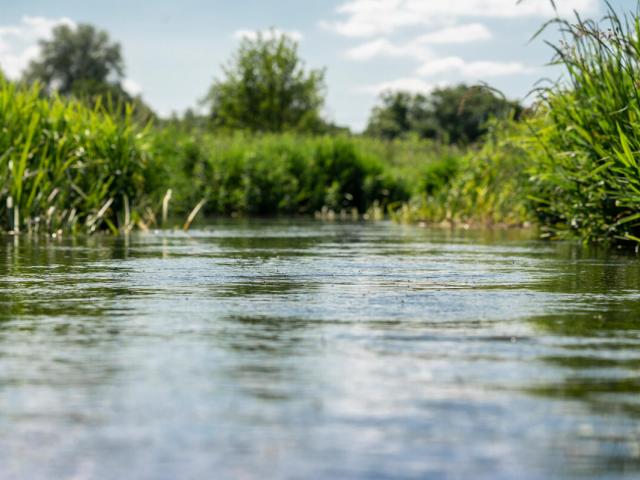  Photo of the waterway and the wild plants that verge onto the river from an abundant wildflower meadow in Norfolk, UK