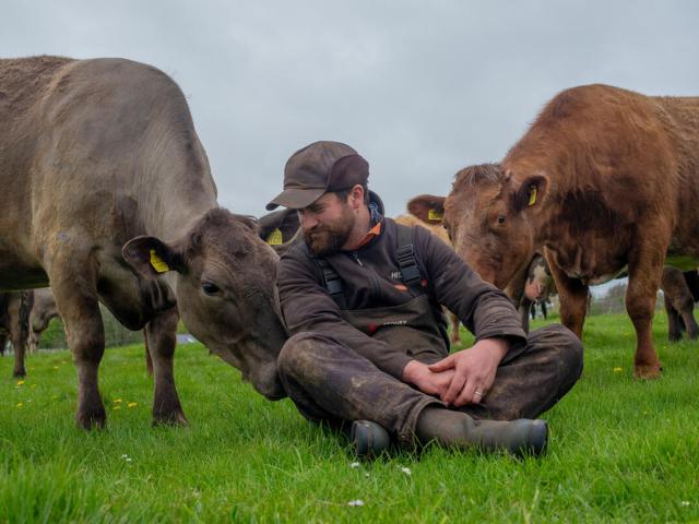 Farmer sitting with cows in field