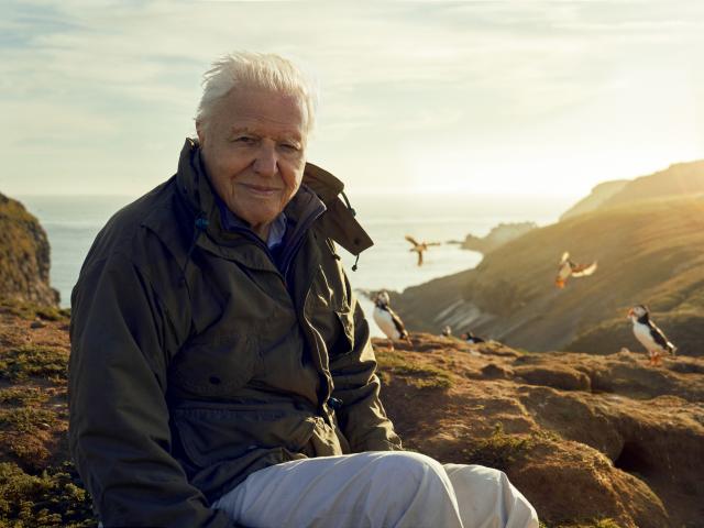 David Attenborough