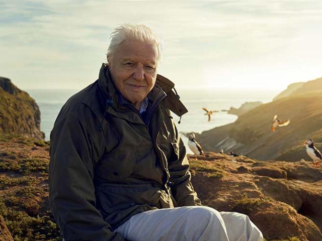 David Attenborough