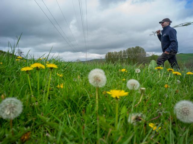 Farmer in field
