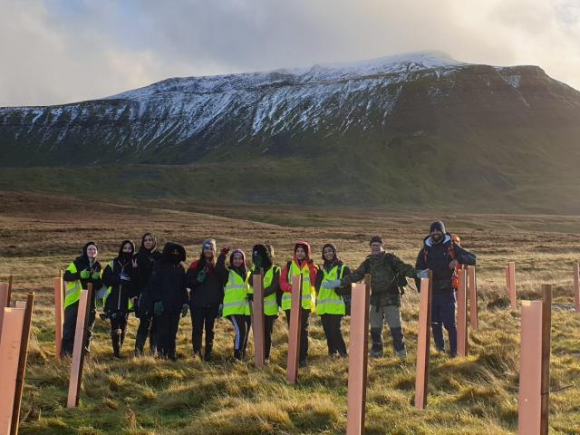 Wild Ingleborough group in field